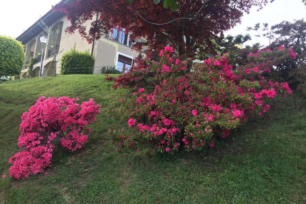 A Casa Di Sissi Biella Exterior foto